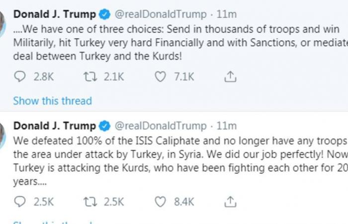 ترامب: لدينا 3 خيارات بعد هجوم تركيا في سوريا
