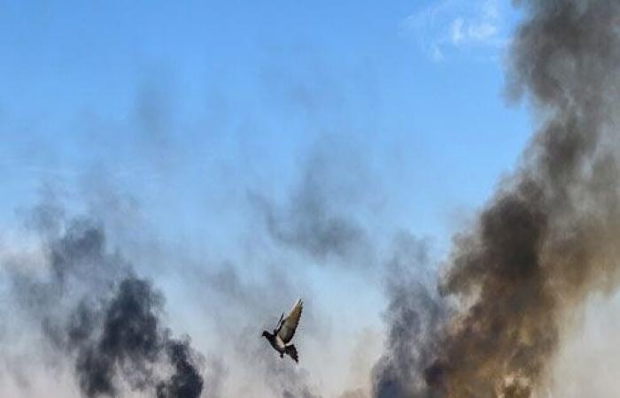 الدفاع التركية تعلن "تحييد" 228 مقاتلا كرديا منذ بدء العملية في سوريا