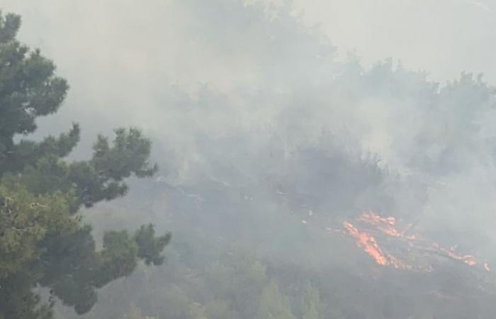 الدفاع المدني اللبناني: خطر تمدد الحرائق مازال قائما