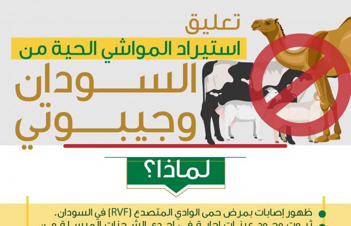 السعودية تعلق استيراد المواشي الحية من السودان وجيبوتي