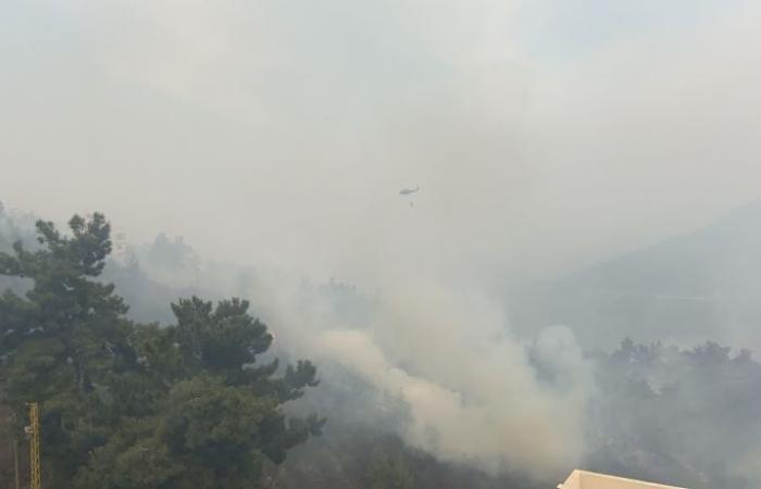 بينها دولة عربية واحدة... ثلاث دول ترسل طائراتها لمساعدة لبنان في إخماد الحرائق