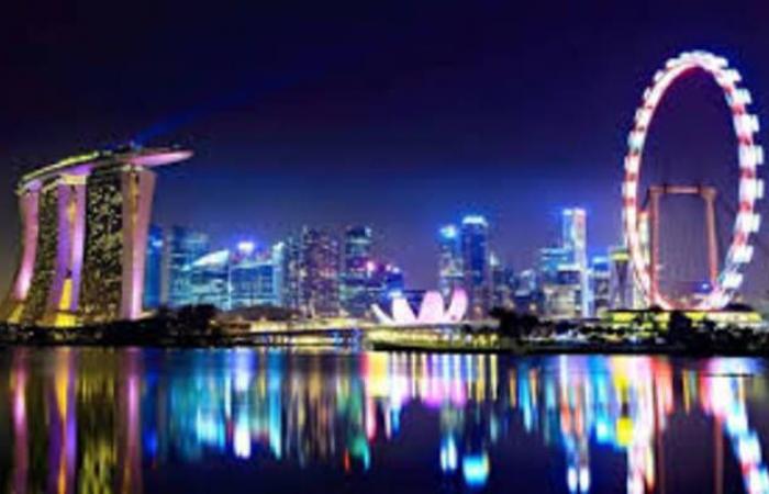 سنغافورة: سنكون محظوظين إذا حققنا نمواً اقتصادياً في 2019