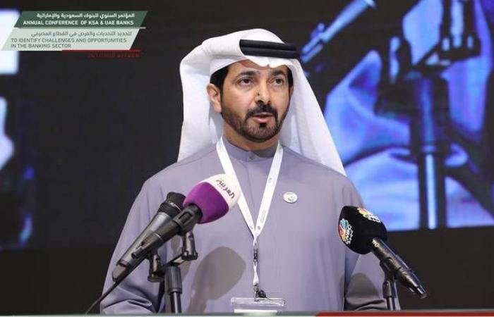 محافظ المركزي الإماراتي: خطة لتنفيذ 44 مشروعاً مشتركاً مع السعودية