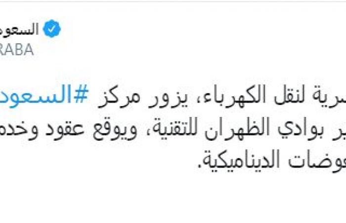 "الكهرباء" المصرية والسعودية توقعان عقداً لتركيب نظام المعوضات الديناميكية