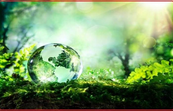 قضايا البيئة وفقاعات الأصول ضمن أبرز المخاطر العالمية في 2020