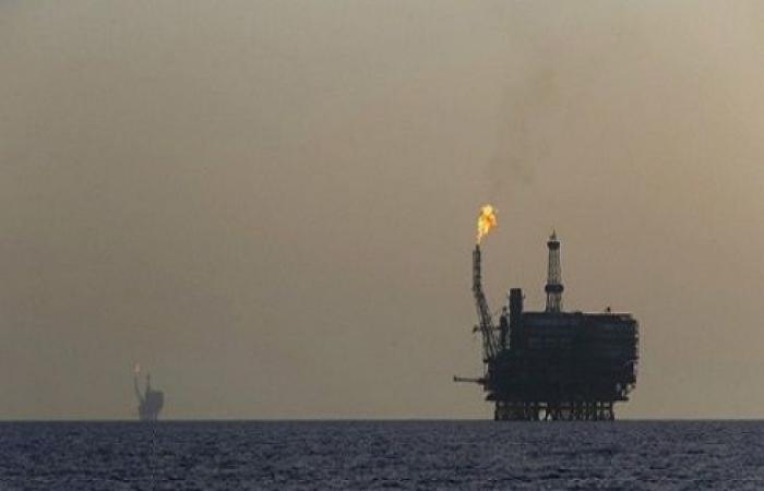 الرواشدة: إعادة ضخ الغاز الطبيعي المصري