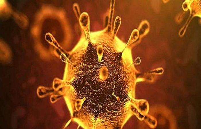 4 حالات جديدة مصابة بفيروس كورونا في الأردن