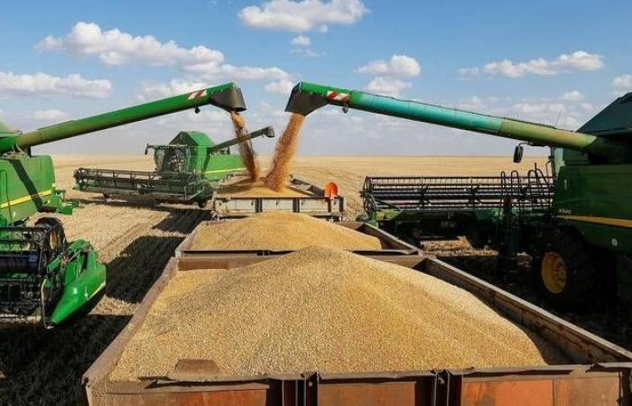 العامة للحبوب تدعو المستثمرين السعوديين بالخارج لتوريد 355 ألف طن من القمح