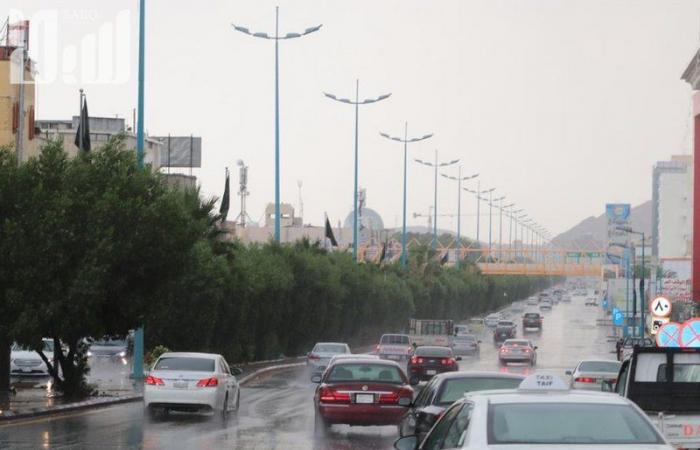 بالفيديو والصور: هطول أمطار على الطائف.. والأهالي يخرجون للتنزه