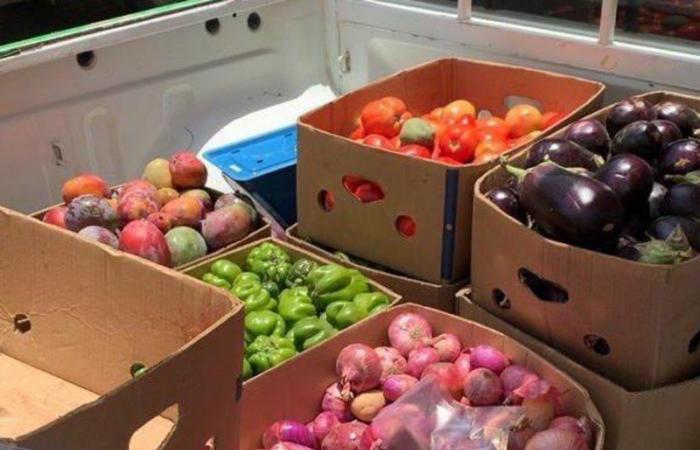 "بلدية الغزة بمكة" تصادر 200 كجم خضراوات بحوزة باعة جائلين