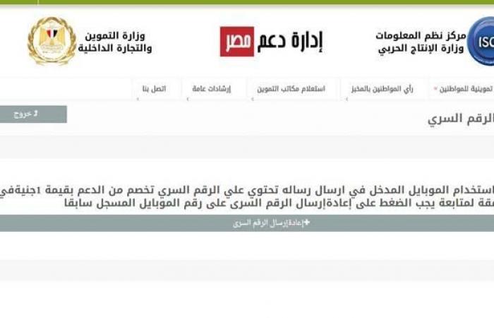 بدل الفاقد والنقل بين المحافظات.. التموين تتيح 4 خدمات جديدة على موقع "دعم مصر"