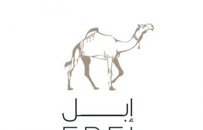 "إبل".. أول شركة سعودية متخصصة عالميًا في إنتاج مستلزمات الإبل