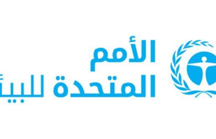 برنامج الأمم المتحدة للبيئة: نسعى لحلول سريعة بشأن خزان النفط العائم في اليمن
