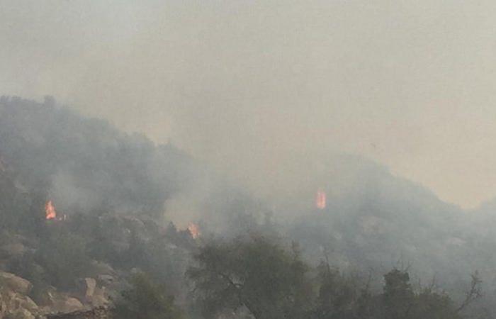 استمر 3 أيام.. "مدني محايل عسير" يخمد حريقاً بأشجار جبل ضرم