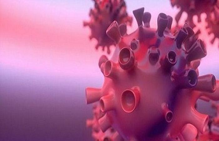 4 اصابات جديدة بفيروس كورونا في الاردن