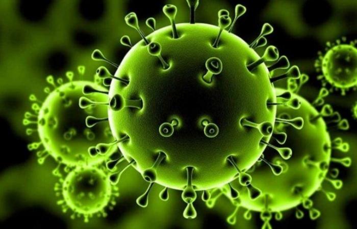 عدد المتعافين من فيروس كورونا حول العالم يتجاوز 7 ملايين