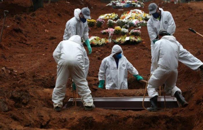 البرازيل: 631 وفاة جديدة بفيروس كورونا
