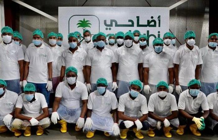 مشروع السعودية للإفادة من الهدي: إجراءات صحية مشدَّدة لنسك الأضاحي