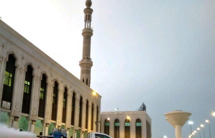 شاهد.. "آفات الصحة" تواصل أعمالها بالمشاعر المقدسة استعداداً للموسم