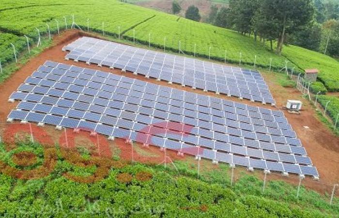 ريدافيا تنشر أوّل مزرعة شمسيّة في كينيا لصالح مينينجاي فارمرز المحدودة