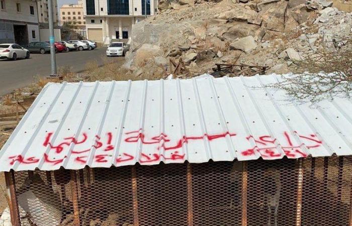 مكة.. إغلاق 3 مسالخ مخالفة ومصادرة 70 رأساً من الأغنام بالعزيزية