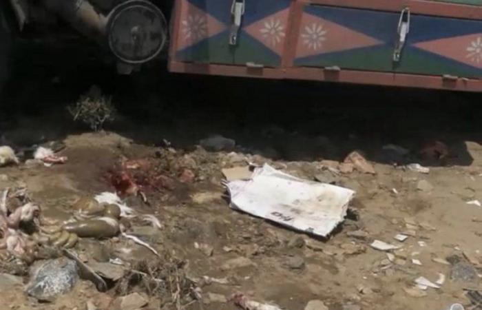 أمانة محافظة الطائف ترصد 22 حالة ذبح عشوائي