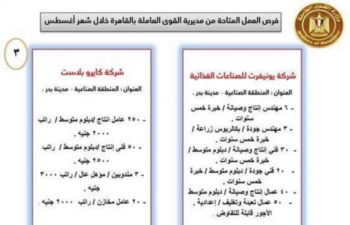 القوى العاملة: قبول طلبات 2700 فرصة عمل بـ 15 شركة.. اليوم