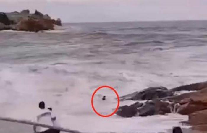 بالفيديو.. صورة عروسين على شاطئ البحر تنتهي بكارثة