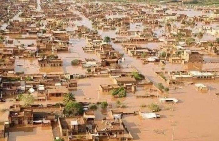 في خضم الكارثة.. هل بإمكان مصر إنقاذ السودان من الفيضان؟