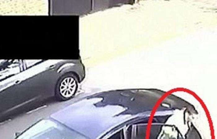 بالفيديو.. عقاب مروع من سائق تاكسي لراكب بسبب كمامة