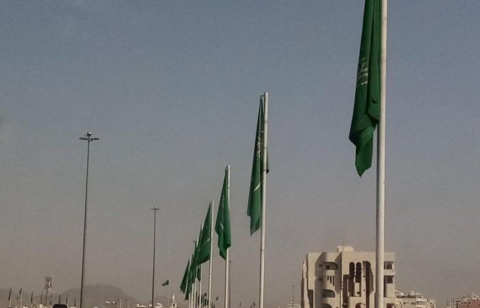 لوحات وأوشحة وأعلام.. "المدينة" تكتسي بالأخضر ابتهاجاً بيوم الوطن ٩٠