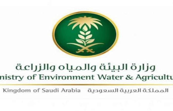 وزارة البيئة: إيقاف جميع التعاملات الورقية لـ9 خدمات