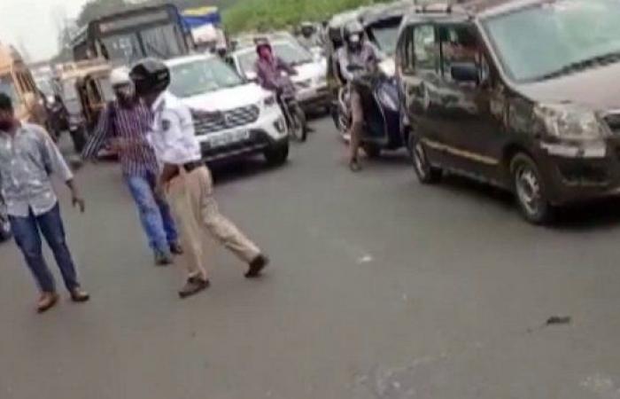 بالفيديو.. كيف أوقف ثعبان طريق الشرق السريع بالهند