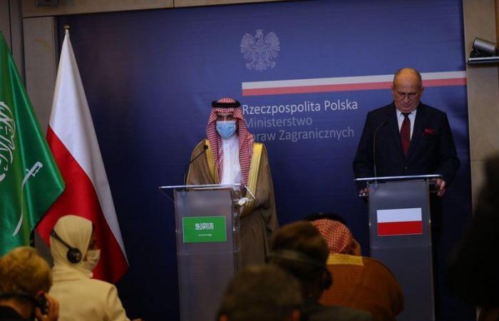 وزير الخارجية يبحث مع نظيره البولندي الأعمال العدائية لإيران ومستجدات المنطقة