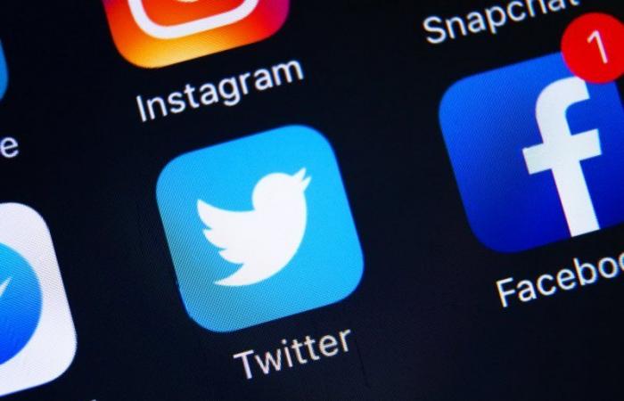 وحدة "مراقبة الطيور".. تجربة رائدة من "تويتر" لمكافحة المعلومات المضللة