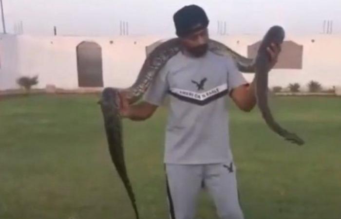 شاب سعودي يمتلك 100 نوع من الثعابين.. ويربي التماسيح والذئاب