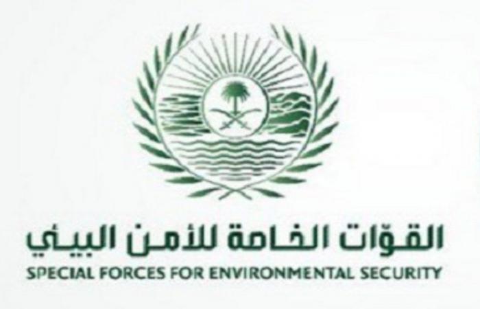قوات الأمن البيئي تحذر من قطع الأشجار وبيع الحطب المحلي أو نقله