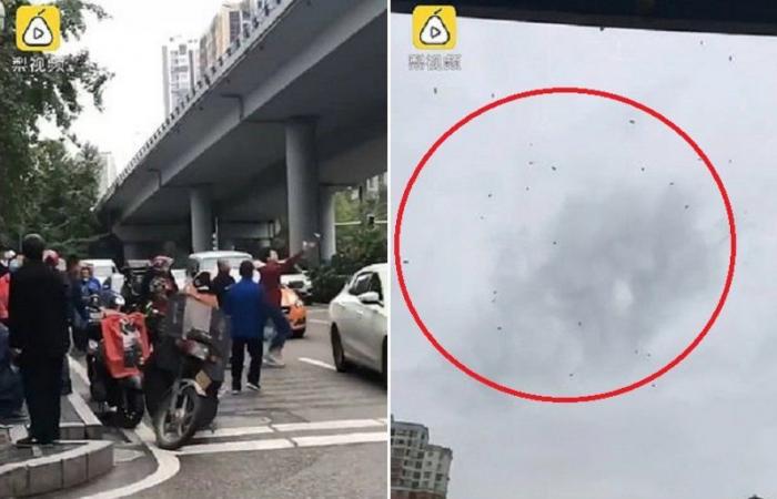 بالفيديو .. شاهد ماذا أمطرت السماء في مدينة صينية