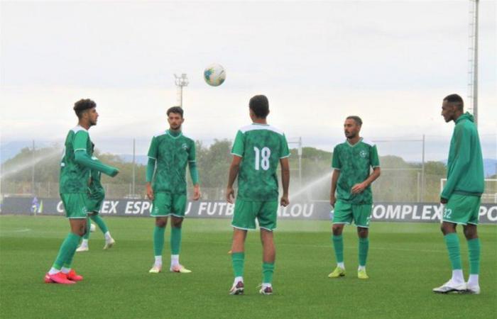تضم 34 لاعبًا.. بعثة برنامج الابتعاث لتطوير مواهب كرة القدم تصل إسبانيا