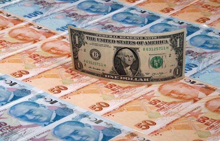 العملة التركية تواصل الهبوط متأثرة بتصريحات "أردوغان" حول سعر الفائدة