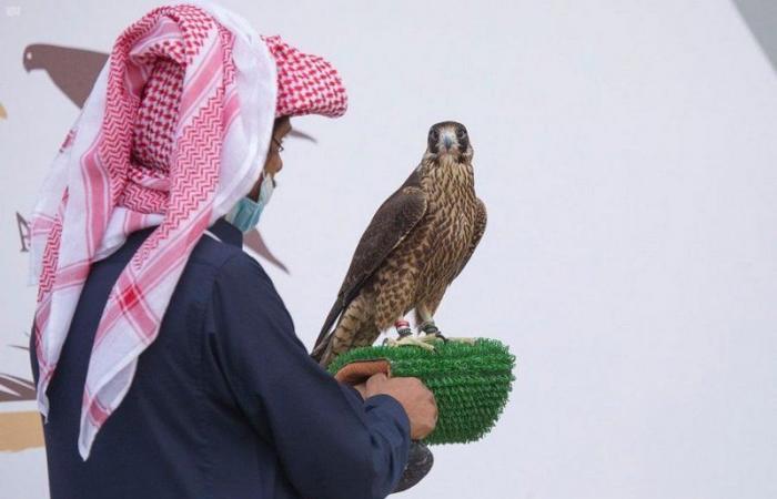 انطلاق النسخة الـ3 لمهرجان الملك عبدالعزيز للصقور