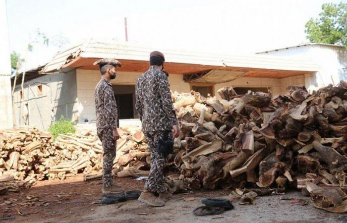 القوات الخاصة للأمن البيئي تضبط 93 طنًا من الحطب المحلي المعد للبيع في الرياض