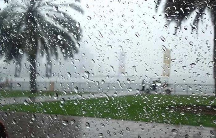 الأرصاد: أمطار متوسط إلى غزيرة على القنفذة والليث