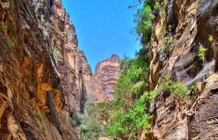 بالصور.. "الوادي الخطر" أفضل مواقع التصوير والتسلق بالمملكة