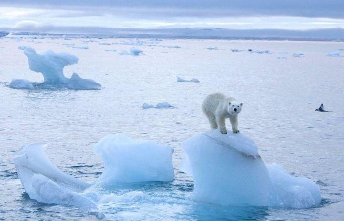 ماذا ينتظر الأرض؟.. الجليد يذوب بمقدار 1.2 تريليون طن متري سنوياً
