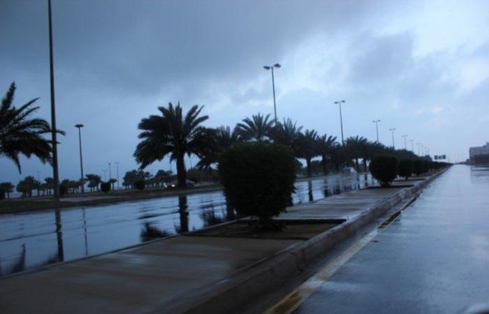 "الوطني للأرصاد": أمطار رعدية على محافظتي بدر وينبع