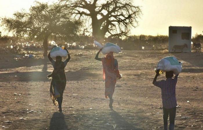 بالصور.. مركز الملك سلمان يوزع 74 طنًّا من السلال الغذائية في ولاية جنوب دارفور السودانية