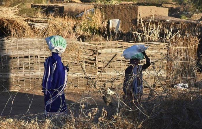 بالصور.. مركز الملك سلمان يوزع 74 طنًّا من السلال الغذائية في ولاية جنوب دارفور السودانية