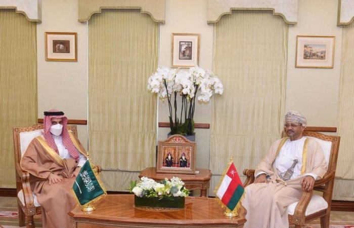 وزير الخارجية ونظيره العُماني يؤكدان أهمية العمل الخليجي في إطار مجلس التعاون