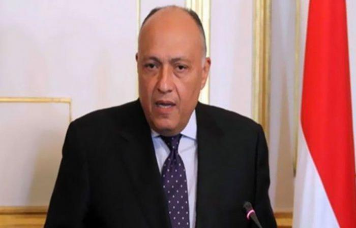 مصر تبحث مع الاتحاد الأفريقي تشكيل آلية دولية لمفاوضات سد النهضة